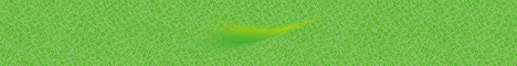 家教王点读机NE260